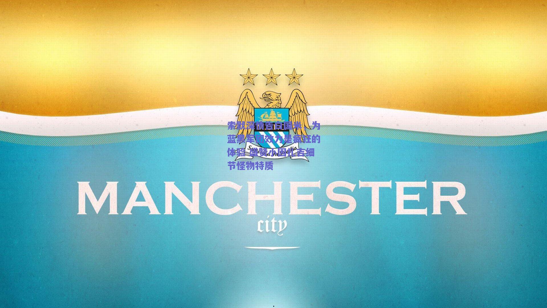 索默深情告白国米,为蓝黑军团效力是疯狂的体验 盛赞小因扎吉细节怪物特质