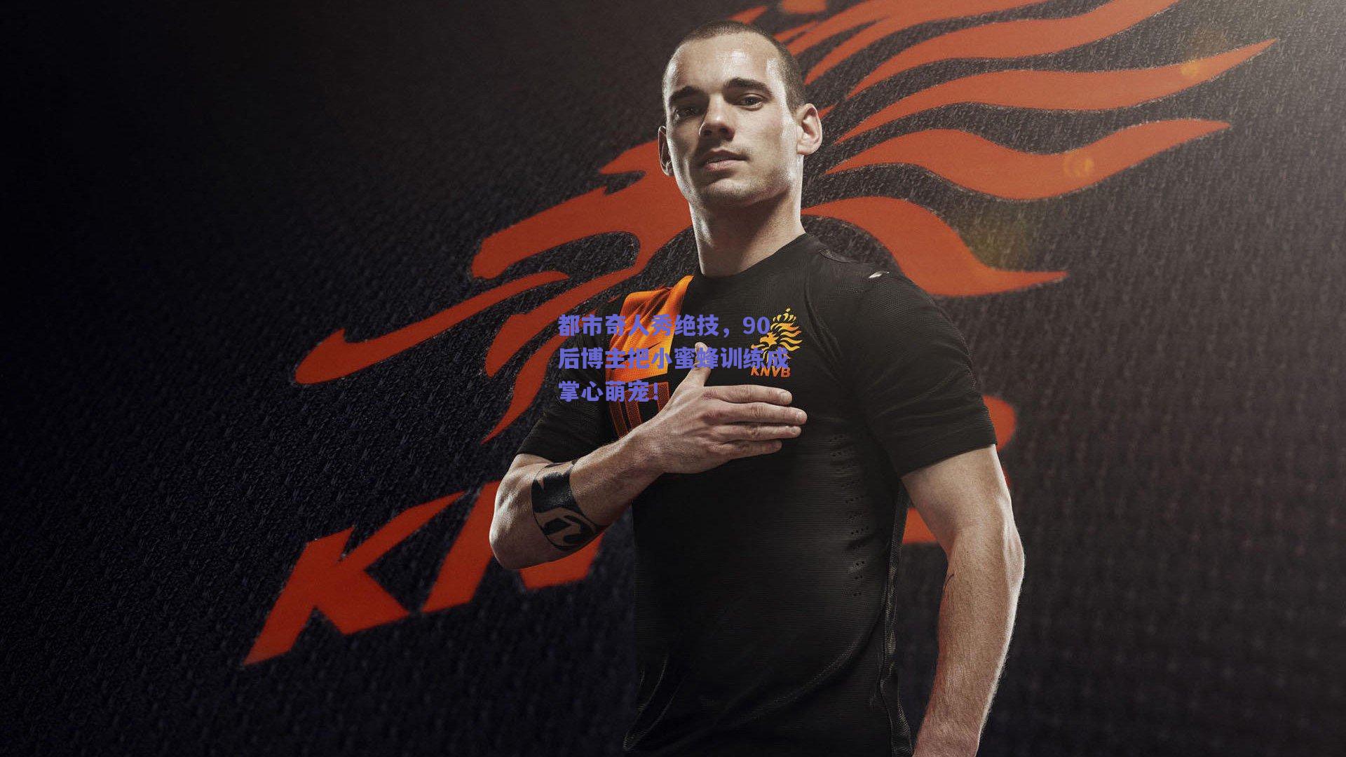 都市奇人秀绝技，90后博主把小蜜蜂训练成掌心萌宠！